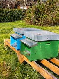 Arnie, famiglie e materiale apicoltura