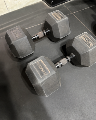 Manubri esagonali LACERTOSUS 27.5 kg coppia