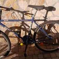 Bici mountain bike