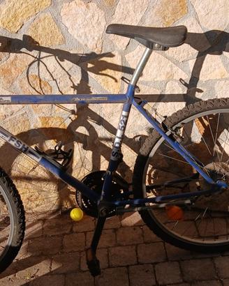 Bici mountain bike
