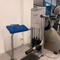 Gluteus press