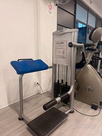 Gluteus press