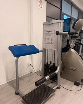 Gluteus press