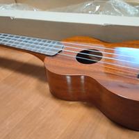 Chitarre, Ukulele, Basso elettrico - NUOVI