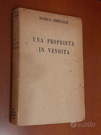 Una proprietà invendita di Enrico Greville. Edizi