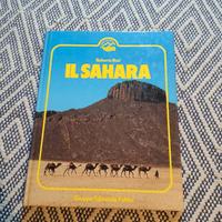 Libro il sahara di viaggio per terra e per mare