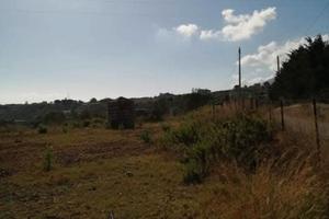 Terreno per coltivazioni agricole