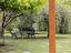 Immagine 29