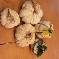 Zucche in stoffa artigianali