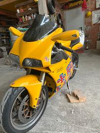 Ducati 998 S Modena testastretta