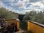 Immagine 28