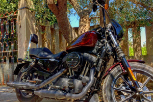 Harley Davidson Iron 1200