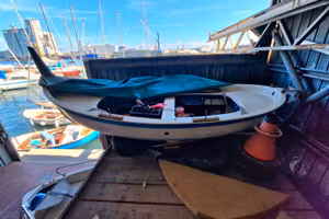 Gozzo ligure
