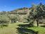 Immagine 23