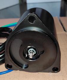 Motorino trim Yamaha top 700 /70 CV 2 tempi