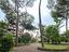 Immagine 29
