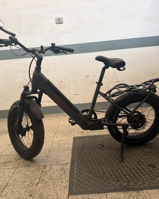 Lombrado Aurelia