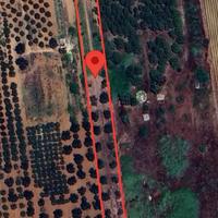 2 terreni agricoli 7.000mq cad