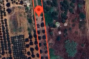 2 terreni agricoli 7.000mq cad