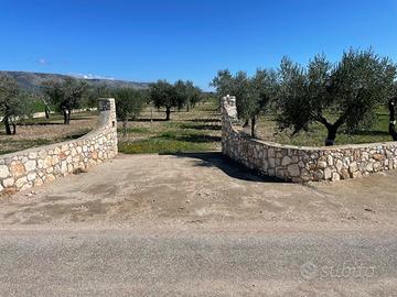 Terreno con Uliveto e Mandorleti