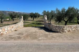 Terreno con Uliveto e Mandorleti