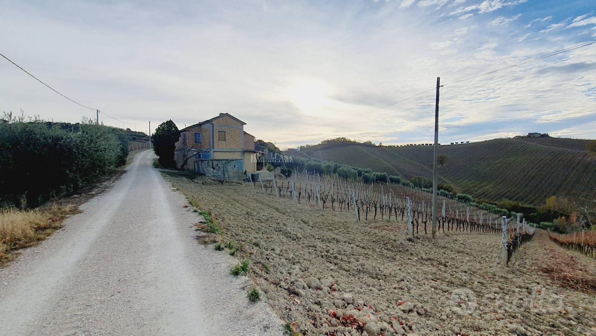 Terreno agricolo - Acquaviva Picena - Altro