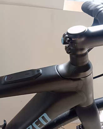 bici elettrica 