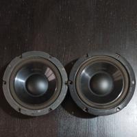 Pioneer Woofer TS-W206