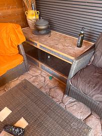 Terrario rettili e tartarughe