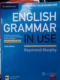 English grammar in use Cambridge