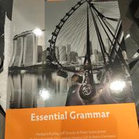 Essencial Grammar