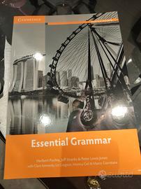 Essencial Grammar