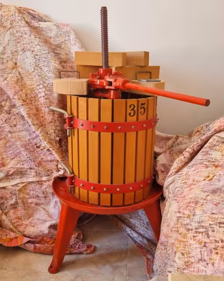 Torchio per uva manuale - 48 l