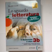 Lo sguardo della letteratura