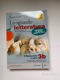 Lo sguardo della letteratura