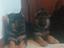 Immagine 2