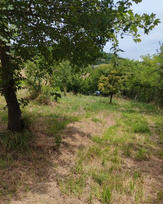 Terreno agricolo