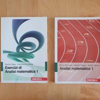 Analisi matematica 1 ed Eserciziario
