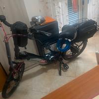 Bicicletta elettrica