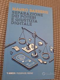 Separazione dei poteri e giustizia digitale