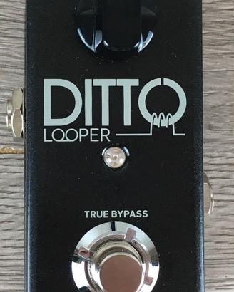 TC Electronic Ditto Looper – 50€