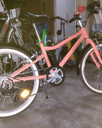Bicicletta bimba da 20 pollici