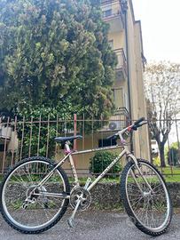 BICICLETTA MOUNTAINBIKE OLYMP