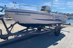Ranieri 5 mt + Mercury 40/60 + carrello ellebi