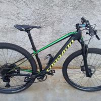 MTB DA 29  MARCA TORBADO CARBON DA COMPETIZIONE