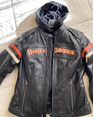 Giubbotto e felpa Harley Davidson tv S