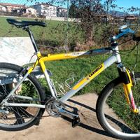 Mountain bike carnielli in alluminio 