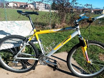 Mountain bike carnielli in alluminio 