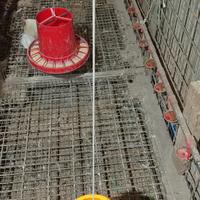 mangiatoia per polli e galline 