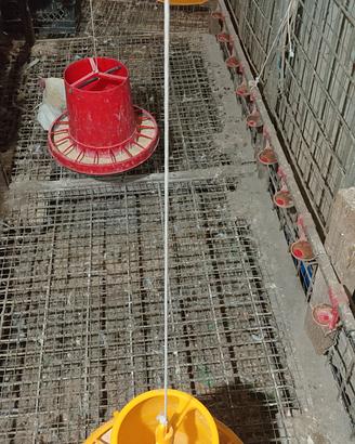 mangiatoia per polli e galline 